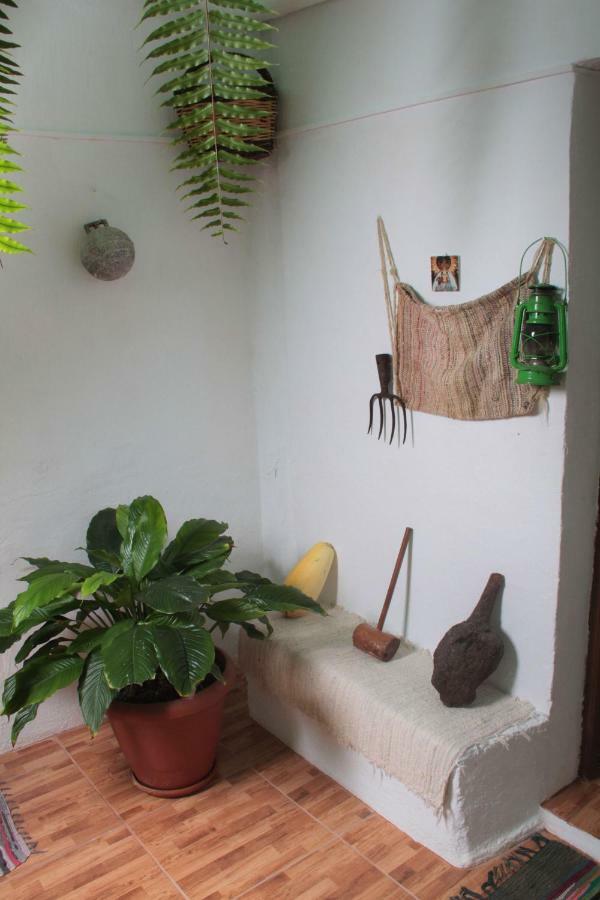 Vivienda Vacacional Sabinosa Exterior photo
